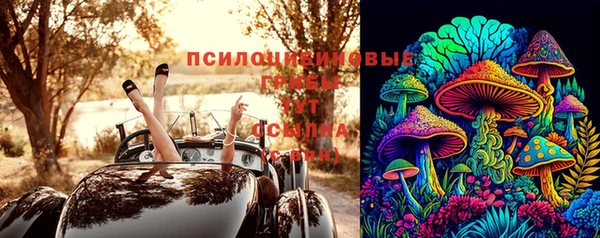 амф Магас
