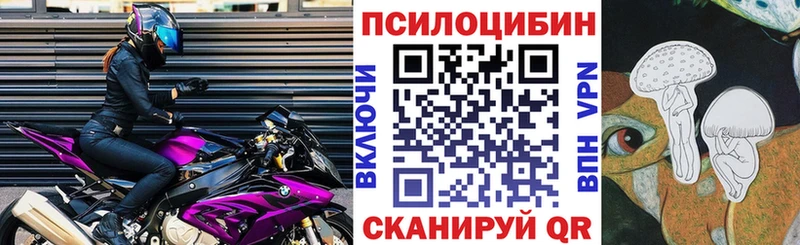 Псилоцибиновые грибы мицелий Владикавказ