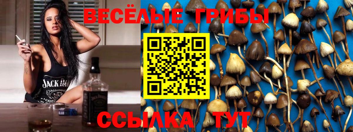 Галлюциногенные грибы Magic Shrooms  Вход с VPN  Владикавказ 